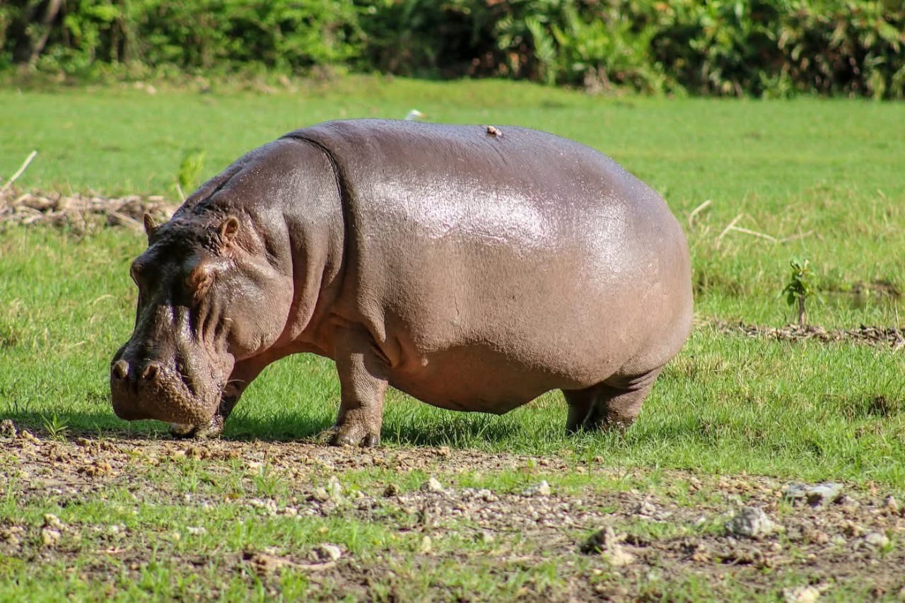 2 Giorni - Tsavo Est