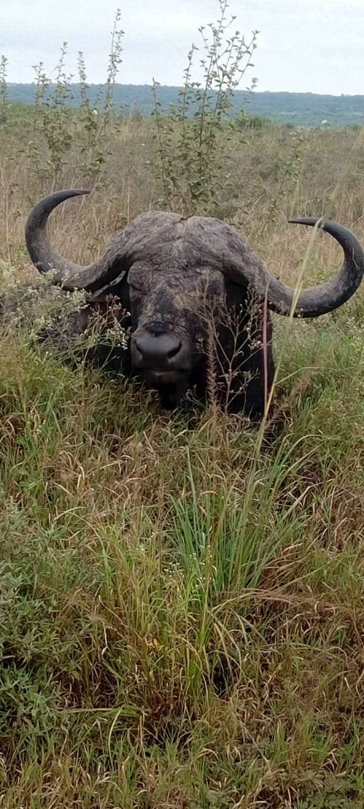 2 Giorni - Tsavo Est