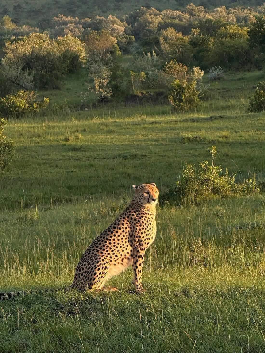 3 Giorni - Maasai Mara
