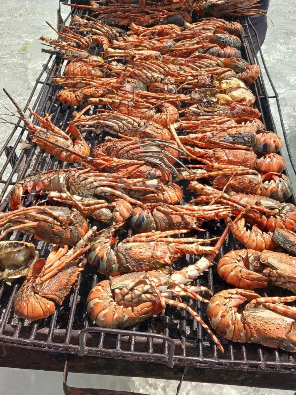Crab Shack - Dabaso
