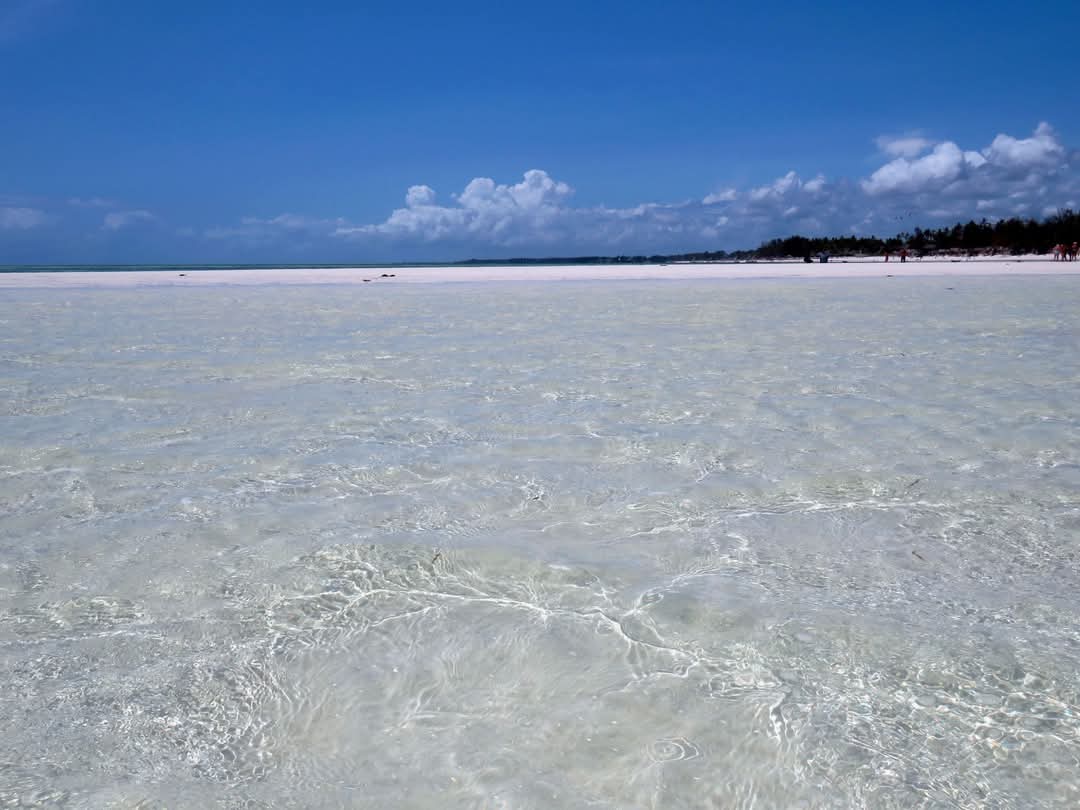 Isola di Robinson