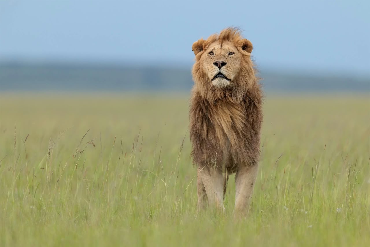 3 Giorni - Maasai Mara